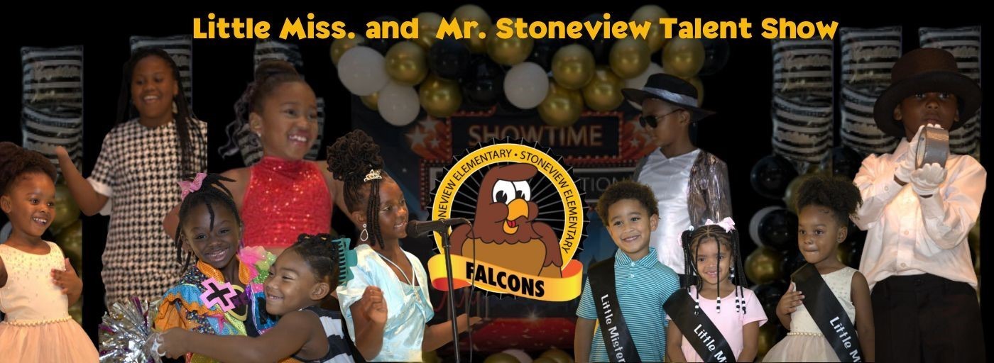 Miss And Mr Stoneview Talent Show 