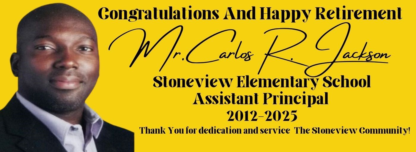 Stoneview ES 